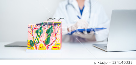 Dermatologist with anatomy model of human skin with hair. Doctor show structure of Skin, Skin disease and Hair loss. Health care, Dermatology treatment, Cosmetic surgery and Beauty consultation clinic 124140335
