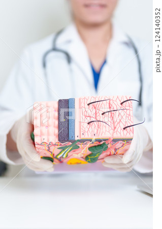 Dermatologist with anatomy model of human skin with hair. Doctor show structure of Skin, Skin disease and Hair loss. Health care, Dermatology treatment, Cosmetic surgery and Beauty consultation clinic Dermatologist with anatomy model of human skin with hair. Doctor show structure of Skin, Skin disease and Hair loss. Health care, Dermatology treatment, Cosmetic surgery and Beauty consultation clinic 124140352