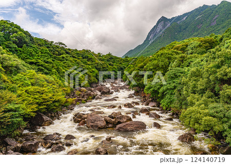 世界自然遺産モッチョム岳と鯛之川　屋久島(夏 124140719