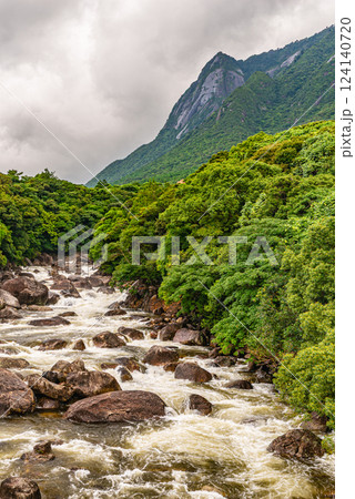 世界自然遺産モッチョム岳と鯛之川 屋久島(夏 世界自然遺産モッチョム岳と鯛之川 屋久島(夏 124140720