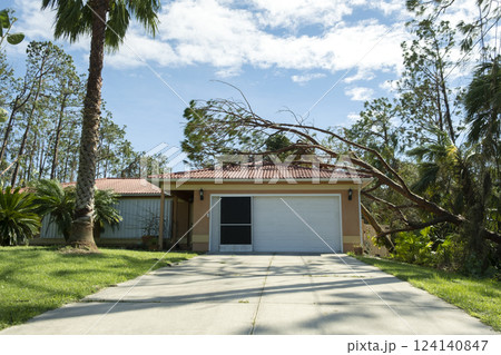Fallen down big tree on a house roof after hurricane in Florida. Consequences of natural disaster 124140847