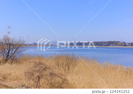 千葉県柏市手賀沼2025年3月 千葉県柏市手賀沼2025年3月 124141252