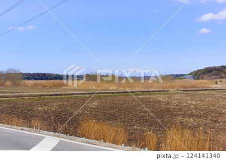 千葉県白井市カンナ街道2025年3月 千葉県白井市カンナ街道2025年3月 124141340