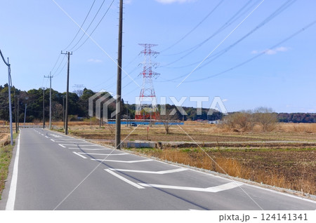 千葉県白井市カンナ街道2025年3月 千葉県白井市カンナ街道2025年3月 124141341