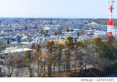 千葉県野田市の風景2025年3月 124141425