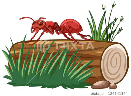 Red Ant on Log Vector Illustration 124141544