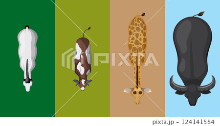 Top View of Diverse Animals 124141584