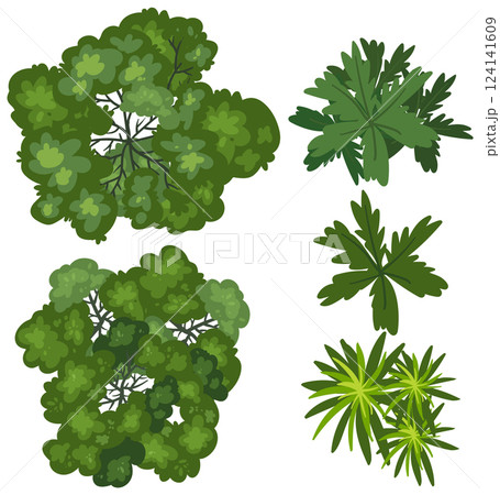 Top View of Diverse Green Foliage 124141609