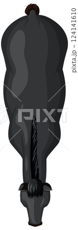 Top-Down View of a Black Horse 124141610