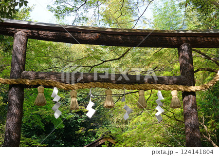 京都嵐山野宮神社の黒木鳥居 124141804