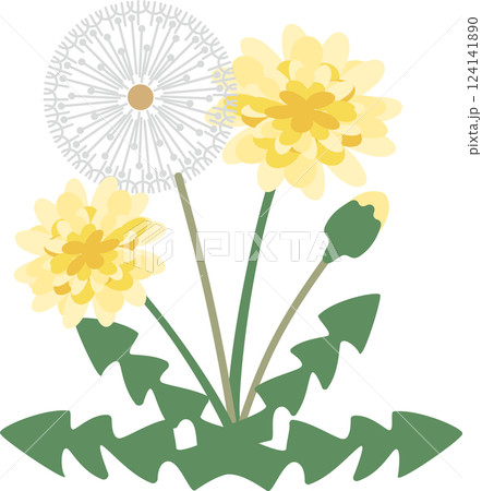 シンプル可愛いタンポポの花のイラスト素材 124141890