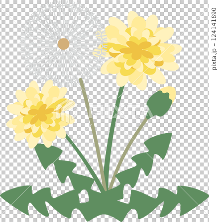 シンプル可愛いタンポポの花のイラスト素材 124141890
