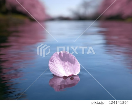 水面に浮かぶ桜の花びら 124141894