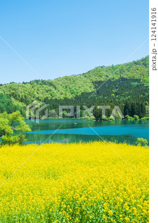 北竜湖（春） 124141916