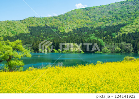 北竜湖（春） 124141922