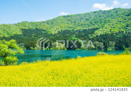 北竜湖(春) 北竜湖(春) 124141935