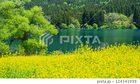 北竜湖（春） 124141939