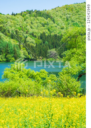 北竜湖（春） 124141949