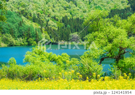 北竜湖（春） 124141954