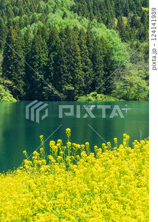 北竜湖（春） 124141989