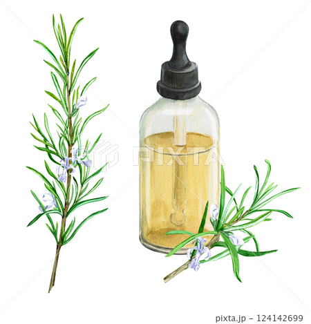 Bottle of rosemary essential oil and branch with flowers isolated on background. Watercolor illustration. Composition for phytoproduct design. Botanical drawing. 124142699