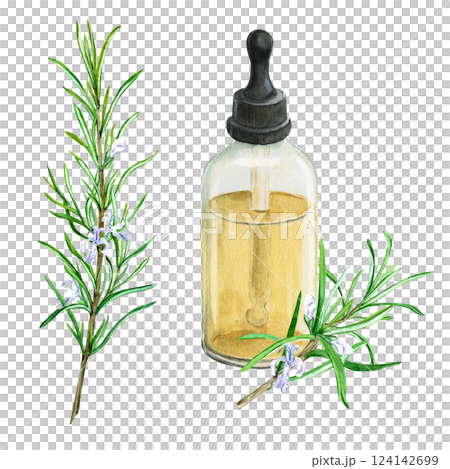 Bottle of rosemary essential oil and branch with flowers isolated on background. Watercolor illustration. Composition for phytoproduct design. Botanical drawing. 124142699