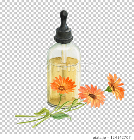 Bottle of calendula essential oil and branch with flowers isolated on background. Watercolor illustration. Composition for herbal product design. Botanical drawing. Bottle of calendula essential oil and branch with flowers isolated on background. Watercolor illustration. Composition for herbal product design. Botanical drawing. 124142707
