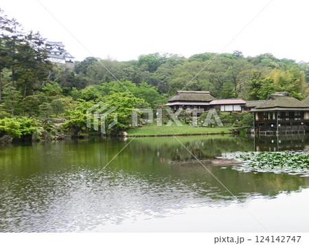 玄宮園の臨池閣と鳳翔台(滋賀県彦根市) 玄宮園の臨池閣と鳳翔台(滋賀県彦根市) 124142747