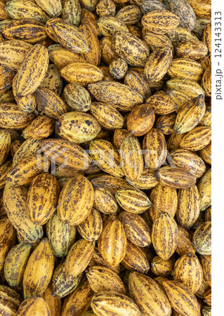 Cocoa beans and cocoa pod on a wooden surface. 124143313