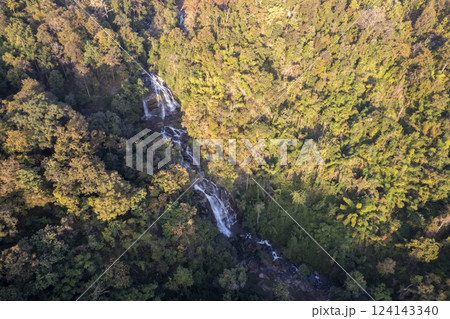 Scenic topdown shot of a deciduous forest changing leaves at the height of autumn. Picturesque flying view of the vibrant 124143340