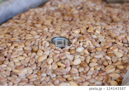 Cocoa beans and cocoa pod on a wooden surface. 124143387