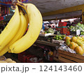 メキシコ合衆国　カンペチェ　ペドロサイス市場5 124143460
