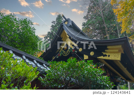 建築 構築 アーキテクチャ 124143641