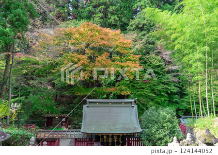 日本 ジャパン 日本国 124144052