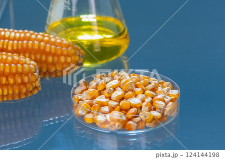 Biofuel with Plants industry lab researching for bio-aviation fuel (BAF) to be a sustainable aviation fuel (SAF) 124144198
