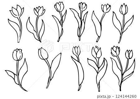 シンプルなチューリップの花と葉っぱのイラスト素材　ベクター 124144260