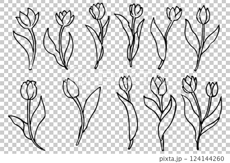 シンプルなチューリップの花と葉っぱのイラスト素材　ベクター 124144260