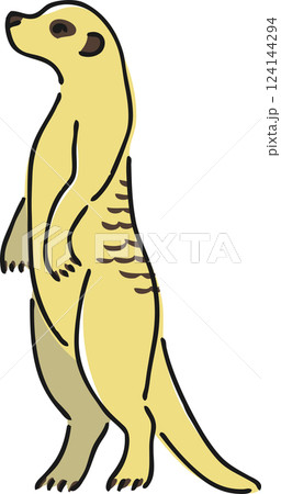 手描きのミーアキャットのイラスト 手描きのミーアキャットのイラスト 124144294