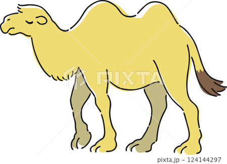 手描きのフタコブラクダのイラスト 手描きのフタコブラクダのイラスト 124144297