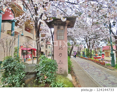 宝塚市・桜咲く花のみち 宝塚市・桜咲く花のみち 124144733
