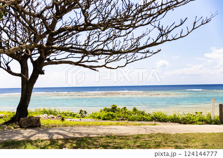 海が見える場所 124144777