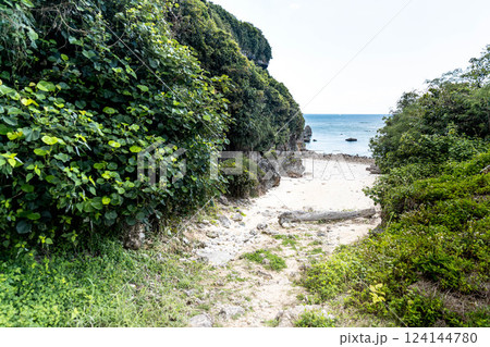 海へと続く砂浜 124144780