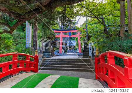 静岡県　下田市　白浜神社（鳥居） 124145327