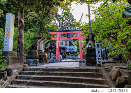 静岡県　下田市　白浜神社（鳥居） 124145328