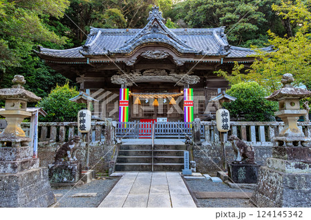 静岡県 下田市 白浜神社(拝殿) 静岡県 下田市 白浜神社(拝殿) 124145342