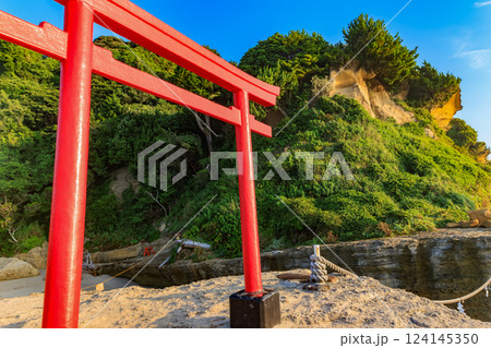 静岡県　下田市　白浜神社　大明神岩 赤鳥居 124145350