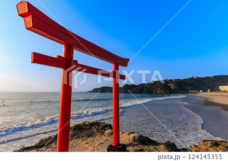 静岡県　下田市　朝の 白浜大浜海水浴場と大明神岩 赤鳥居 124145355