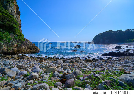 高知県 足摺岬の白山洞門付近の海岸遊歩道から太平洋を見る 124145833