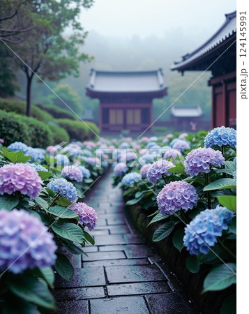 神社と紫陽花の小道・4 神社と紫陽花の小道・4 124145991