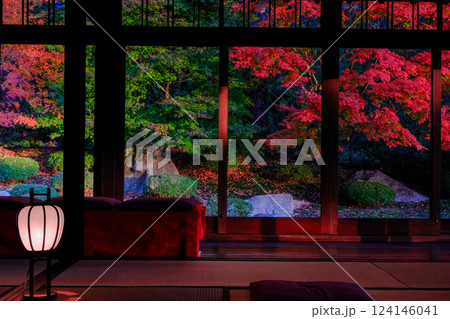 和室から眺める紅葉 和室から眺める紅葉 124146041